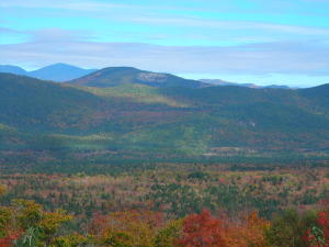 Bartlett Experimental Forest