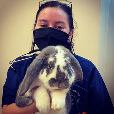 Vet Tech student holding a bunny
