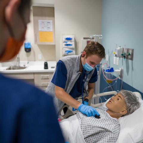 Male nursing student checking a fake patient's heart rate using a stethoscope