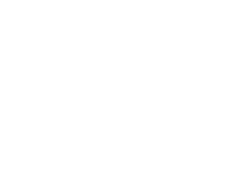 UNH all white logo