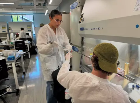 Belen is working with another student in a COLSA lab