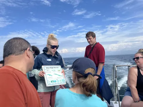 UNH student Nathalie Pare on a boat as a part of her whale research internship with the Blue Ocean Society 