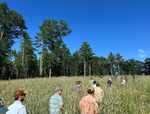 adapt agroforestry training unh