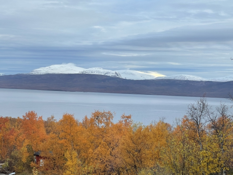 A snow-covered mountain near a body of water and autumn foliage in the foreground.