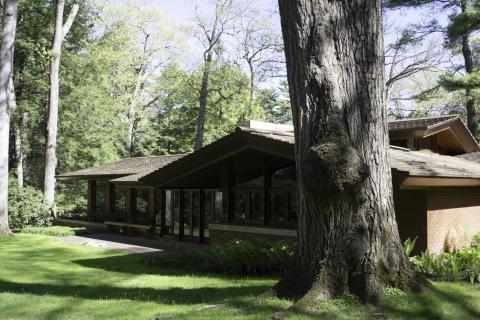 A home sits nestled between tall trees