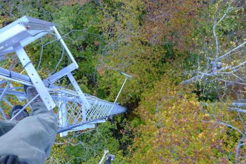 High above Bartlett Experimental Forest