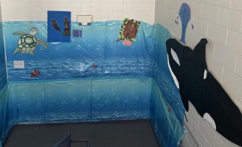 A mural of undersea creatures on the wall of a school.