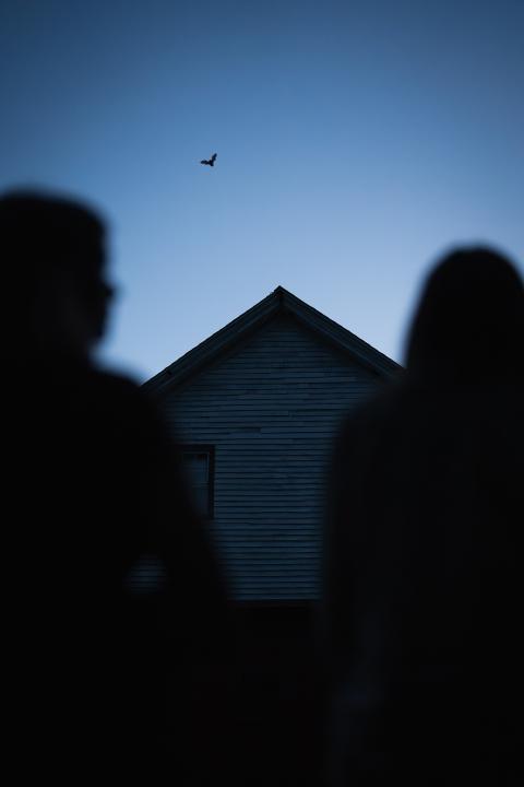 Two people are looking up at the sky and there is a bat flying 