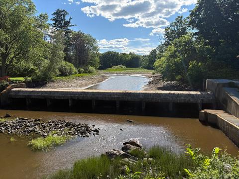 Mill Pond dam
