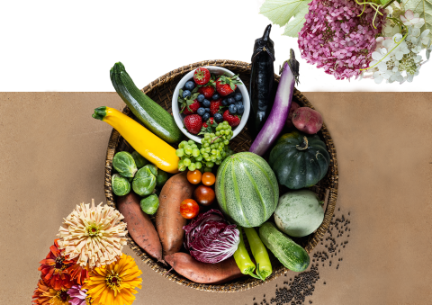 Plate of fruits and vegetables