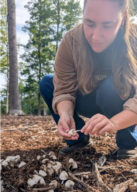 researcher looking at fungus in the woods