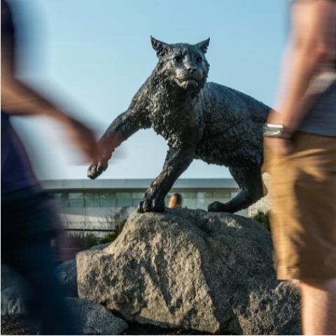 Wildcat statue on UNH Durham campus