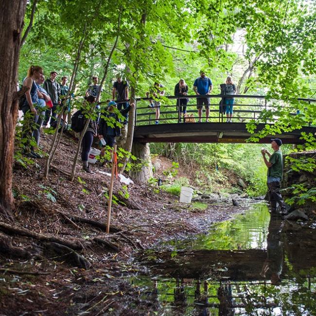Students doing an experiment in the field