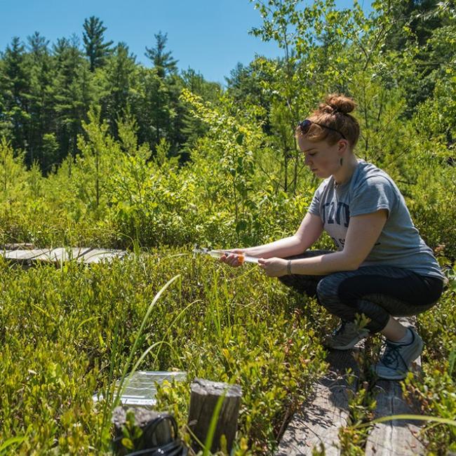 Female student crouching in a field collecting a sample with a needle
