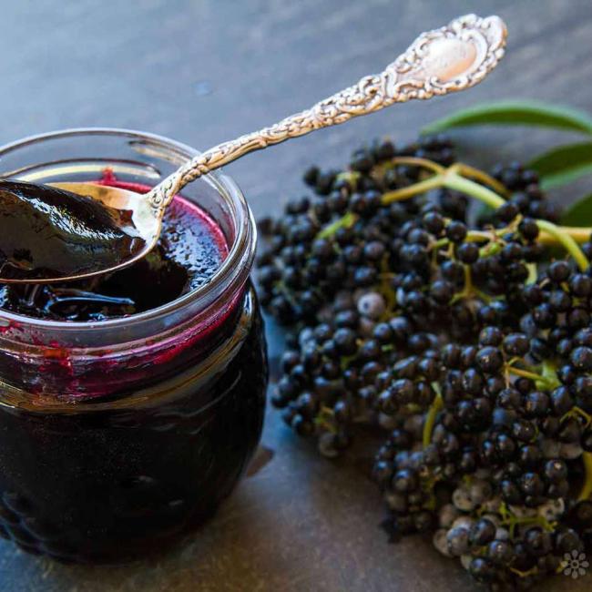 Elderberry jelly