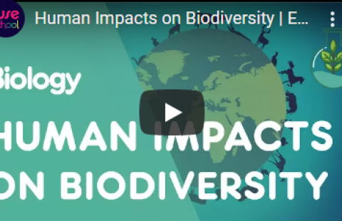 Thumbnail for FuseSchool's "Human Impacts on Biodiversity" video