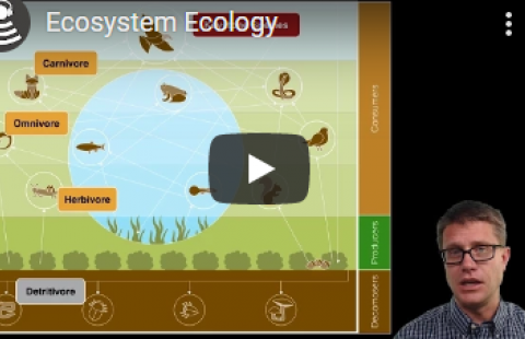 Thumbnail for Bozeman Science's "Ecosystem Ecology" video