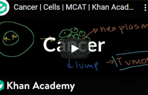 Thumbnail for Khan Academy's video on cancer