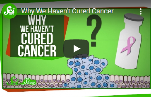 Thumbnail for Sci Show's video "Why We Haven't Cured Cancer"
