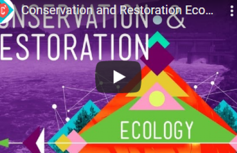 Thumbnail for Crash Course's "Conservation and Restoration Ecology" video