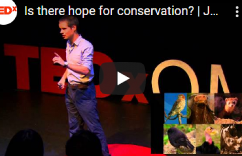 Thumbnail for TEDx Talk's "Is there hope for conservation?" video