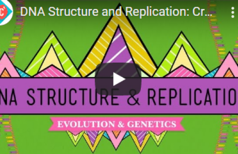 Thumbnail for Crash Course's "DNA Structure & Replication" video