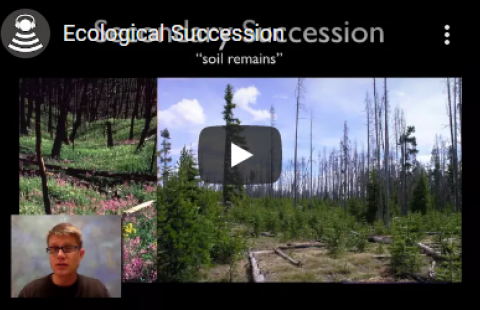 Thumbnail for Bozeman Science's "Ecological Succession" video