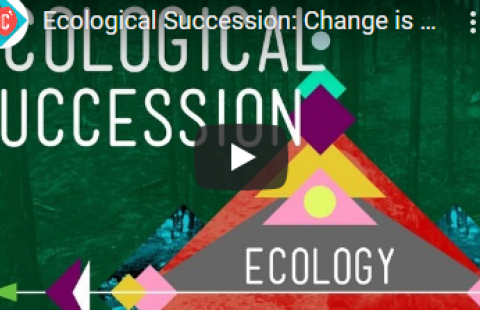Thumbnail for Crash Course's "Ecological Succession" video