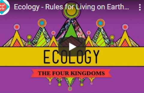 Thumbnail for Crash Course's "Ecology" video