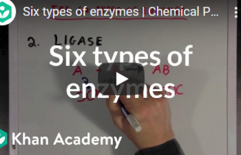 Thumbnail for Khan Academy's video on the six types of enzymes