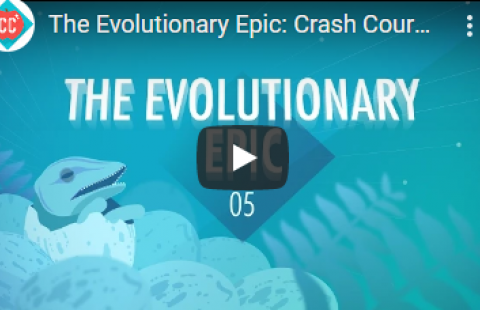Thumbnail for Crash Course's "The Evolutionary Epic"
