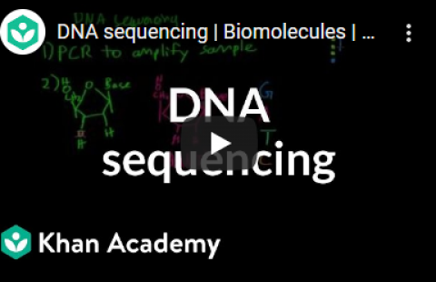 Thumbnail for Khan Academy's video "DNA sequencing"