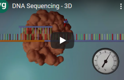 Thumbnail for yourgenome's video on DNA Sequencing