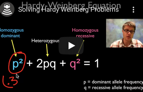 Solving Hardy-Weinberg Problems youtube video