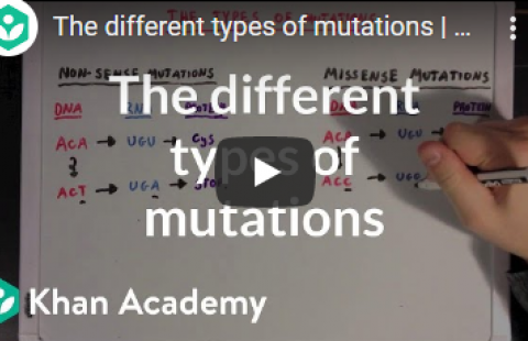 Thumbnail for Khan Academy's video "The different types of mutations"