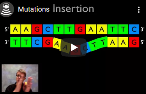 Thumbnail for Bozeman Science's video "Mutations"