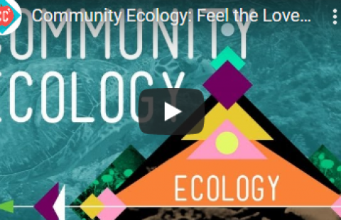 Thumbnail for Crash Course's community ecology video