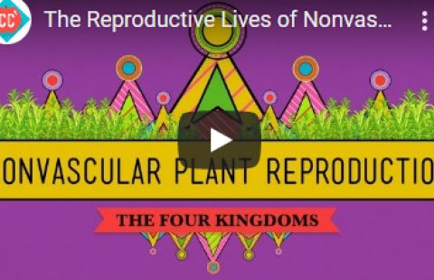 Thumbnail for Crash Course's "Nonvascular Plant Reproduction" video