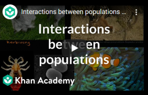 Thumbnail for Khan Academy's " Interactions between populations" video