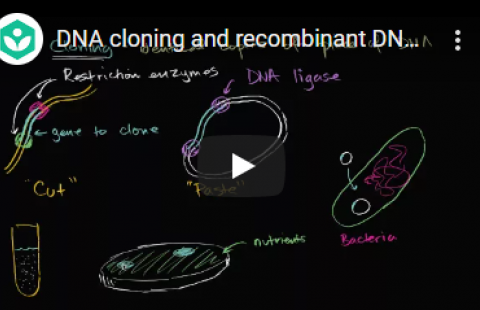 Thumbnail for Khan Academy's video on recombinant DNA