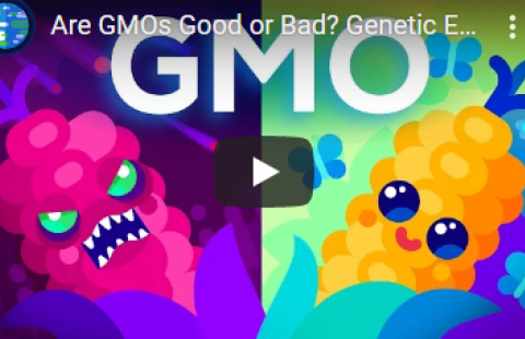 Thumbnail for Kurzgesagt's video on GMOs
