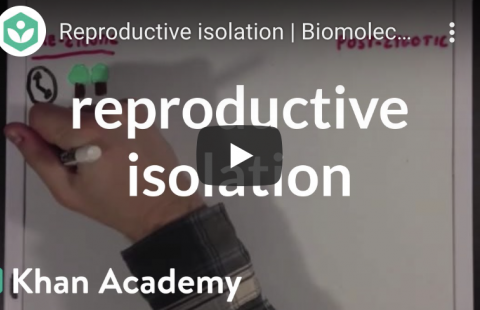 Reproductive Isolation Mechanisms - Khanacademymedicine youtube video screenshot