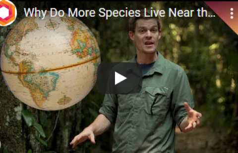 Thumbnail for It's Okay to be Smart's video on species richness
