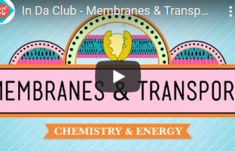 Thumbnail for Crash Course's video on membranes & transport