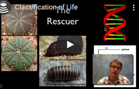 Thumbnail for Bozeman Science's "Classification of Life" video