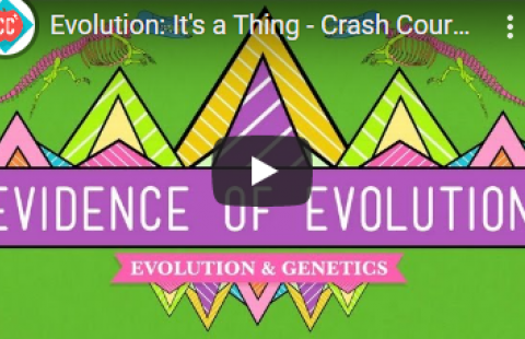 Video thumbnail for Crash Course's Evidence of Evolution video