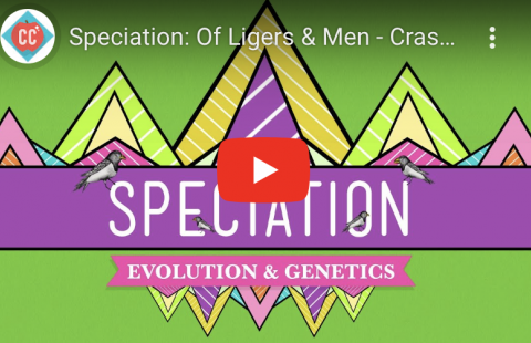 What is a species? - Crash Course youtube video screenshot