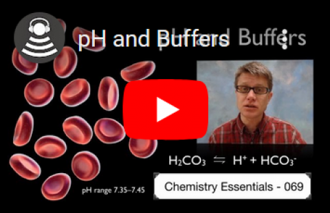 Buffers - Bozeman Science video