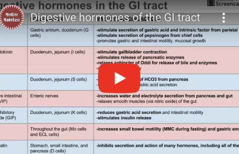 Digestion - Digestive Hormones Youtube video screenshot