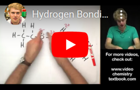 Forces - Tyler DeWitt - Hydrogen bonds video